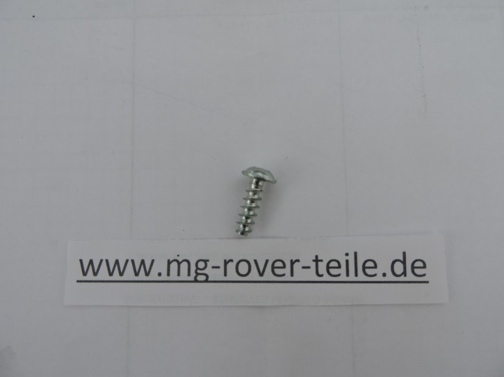 Schraube für Stoßstangengitter