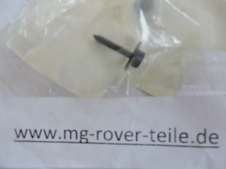 Schraube zur Stoßfängerbefestigung