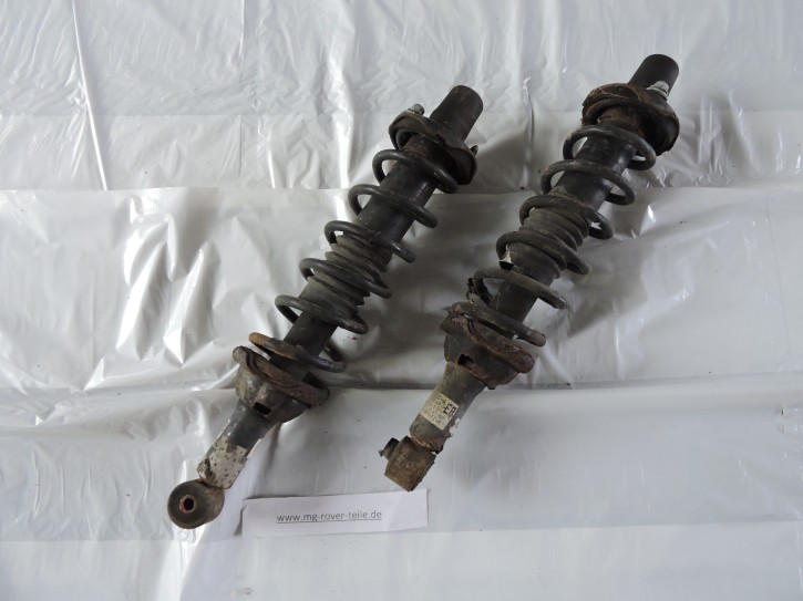 Stoßdämpfer hinten
